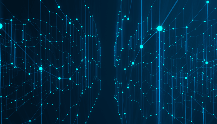 Static to Dynamic Visibility — The Paradigm Shift | Niagara Networks
