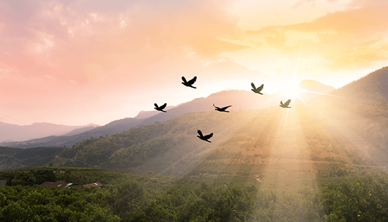 Pervasive Network Visibility for SD-WAN Deployment | Niagara Networks